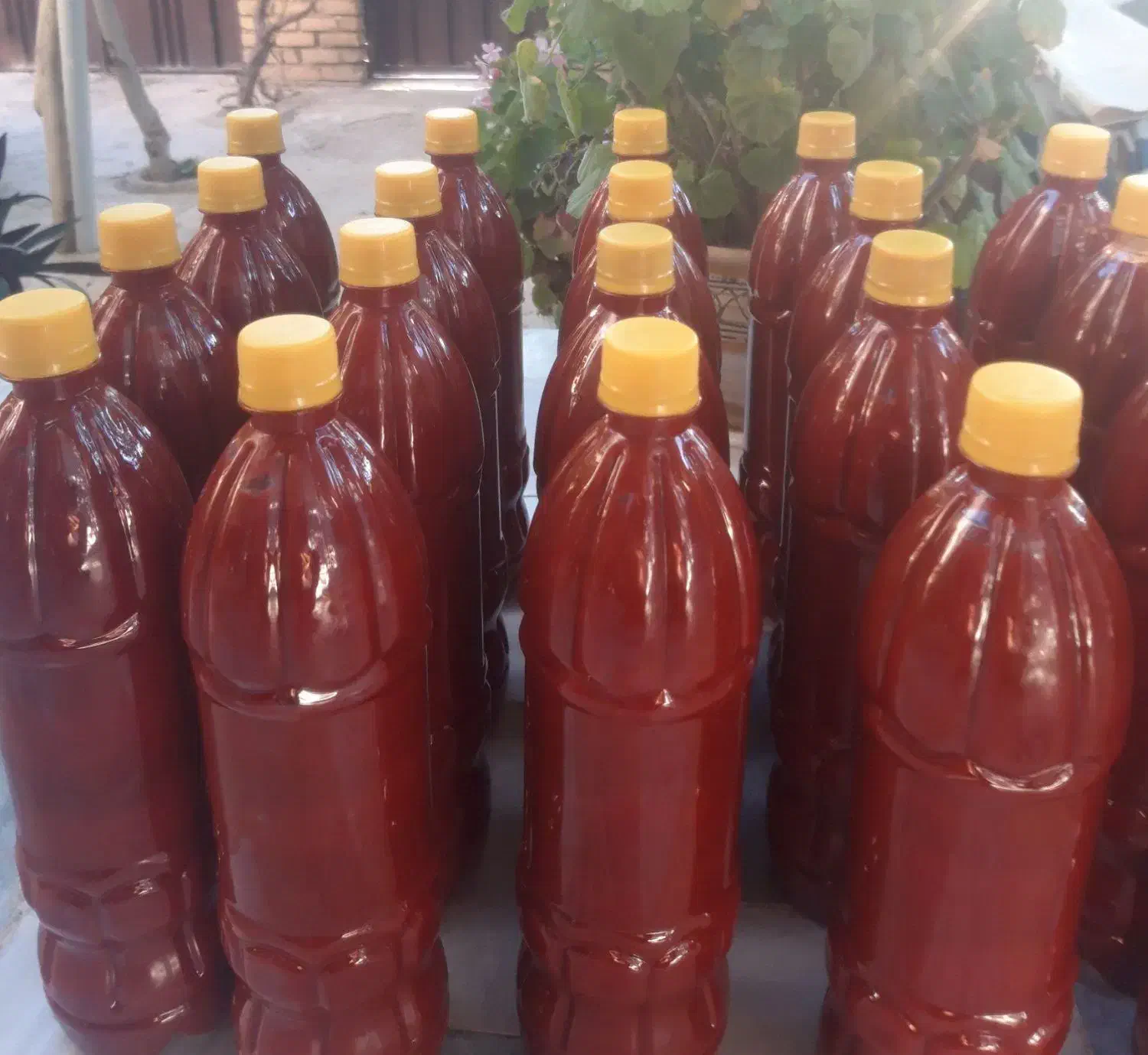 رب خانگی|خوردنی و آشامیدنی|گیان, |دیوار