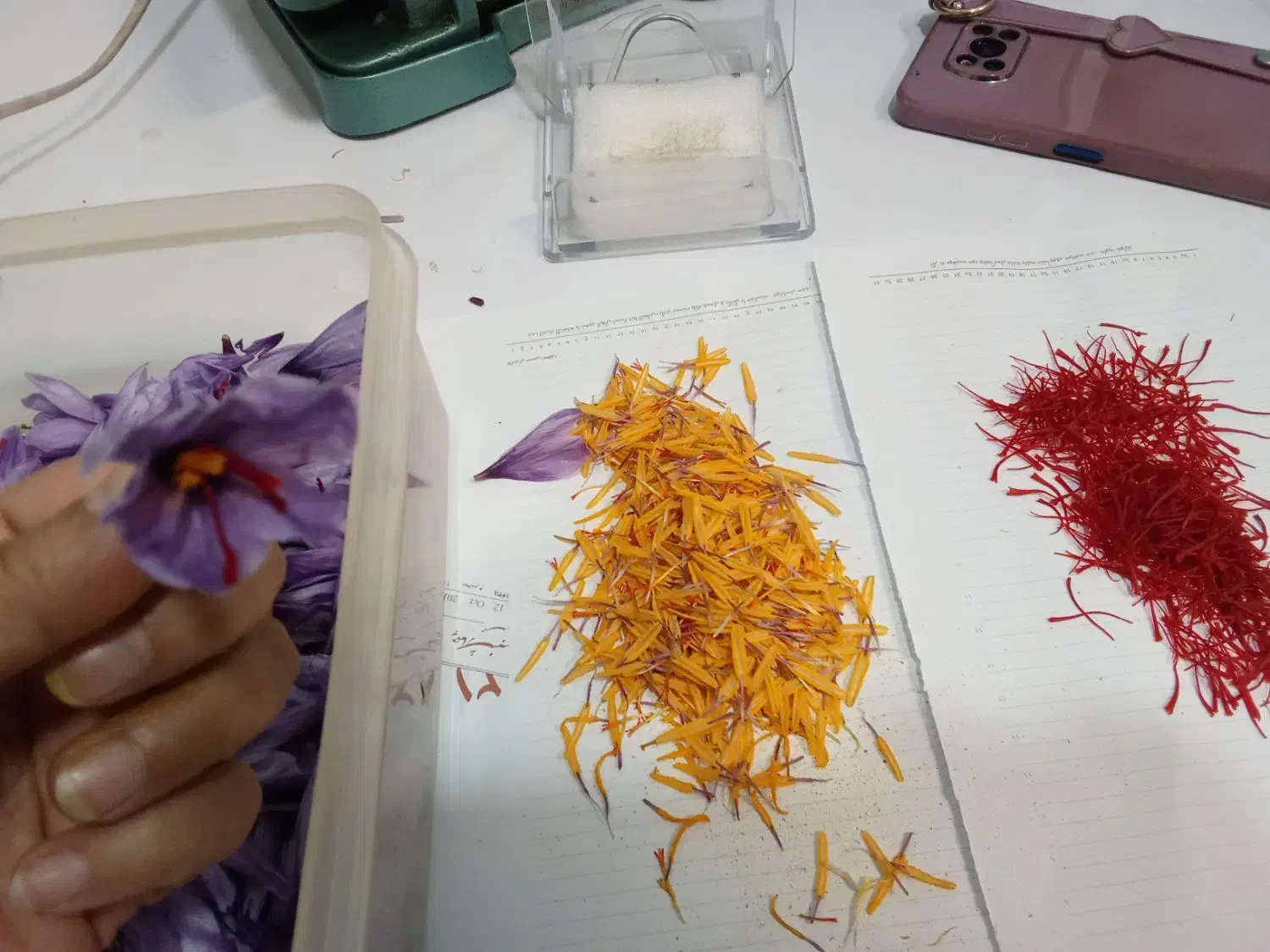 پودر و سرگل زعفران اصلی|خوردنی و آشامیدنی|تهران, زعفرانیه|دیوار