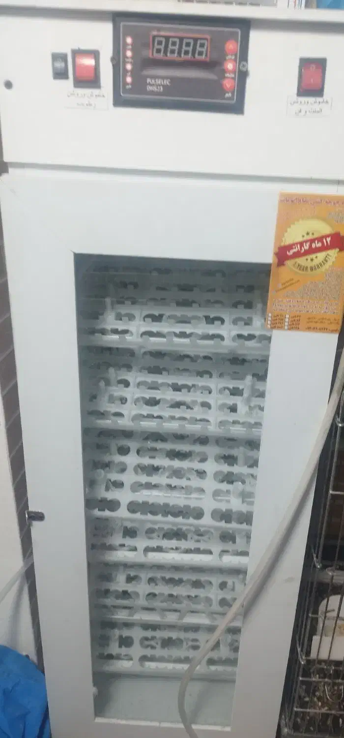 دستگاه جوجه کشی اتوماتیک|حیوانات مزرعه|صدرا-فارس, فاز ۱|دیوار