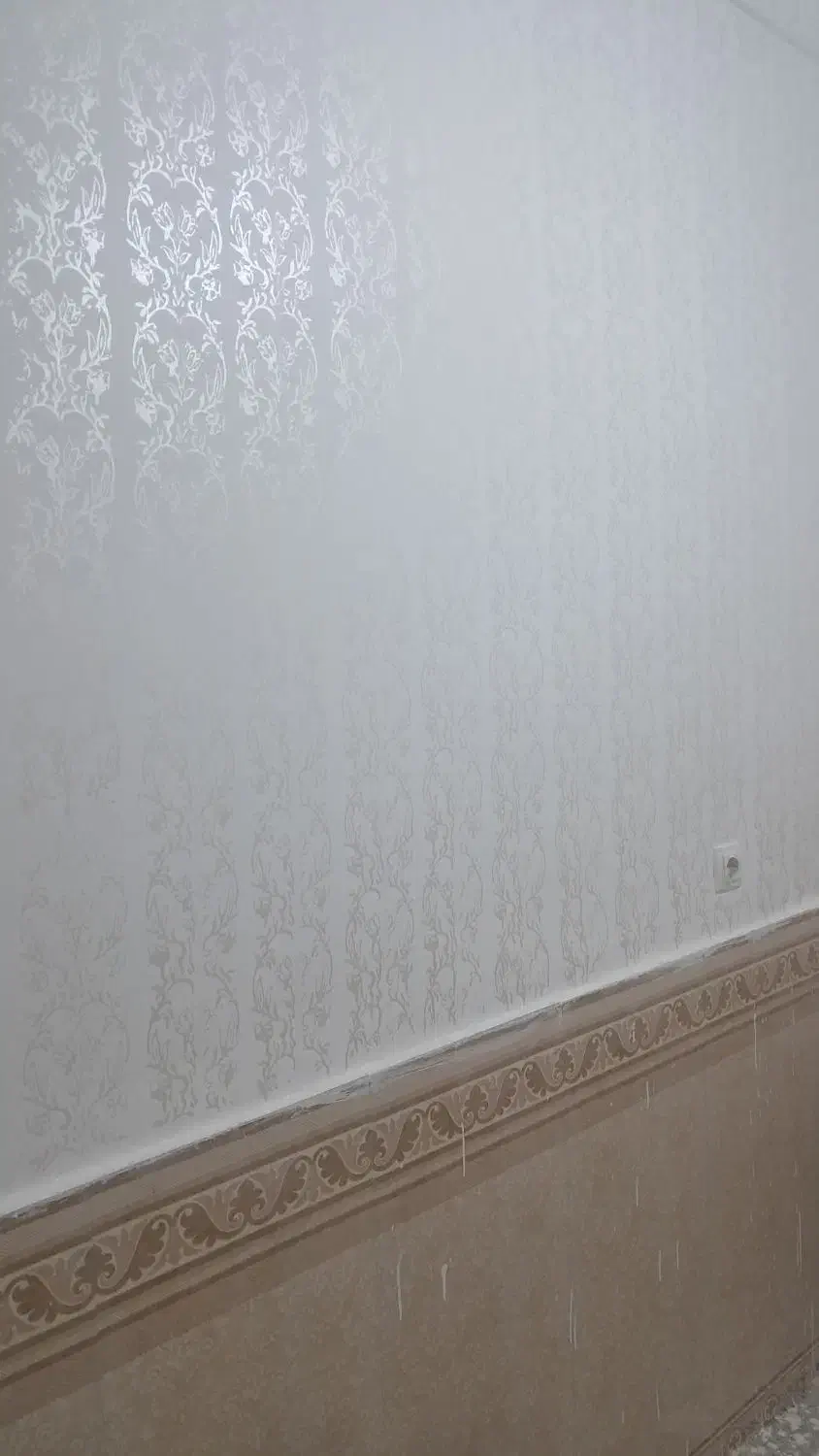 رنگ آمیزی ساختمان|خدمات پیشه و مهارت|امیدیه, |دیوار