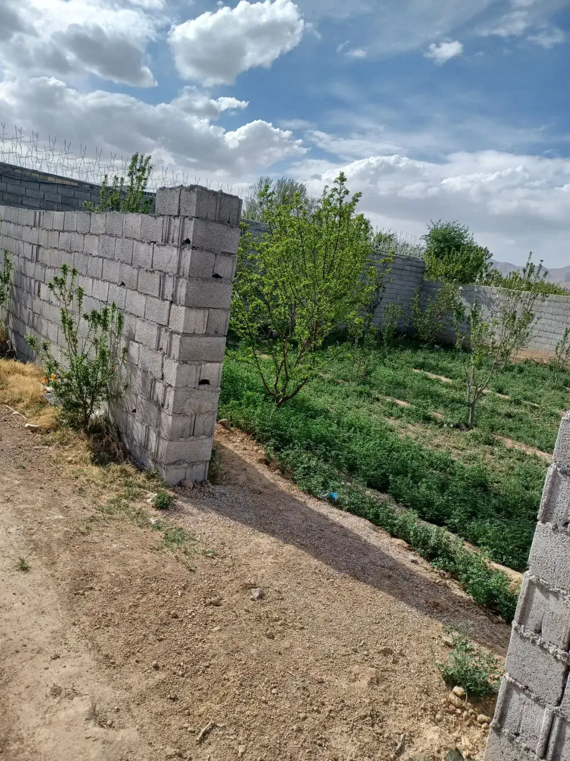 زمین فروشی برای سرمایه گذاری|فروش دفتر صنعتی، کشاورزی، تجاری|خمینی‌شهر, |دیوار