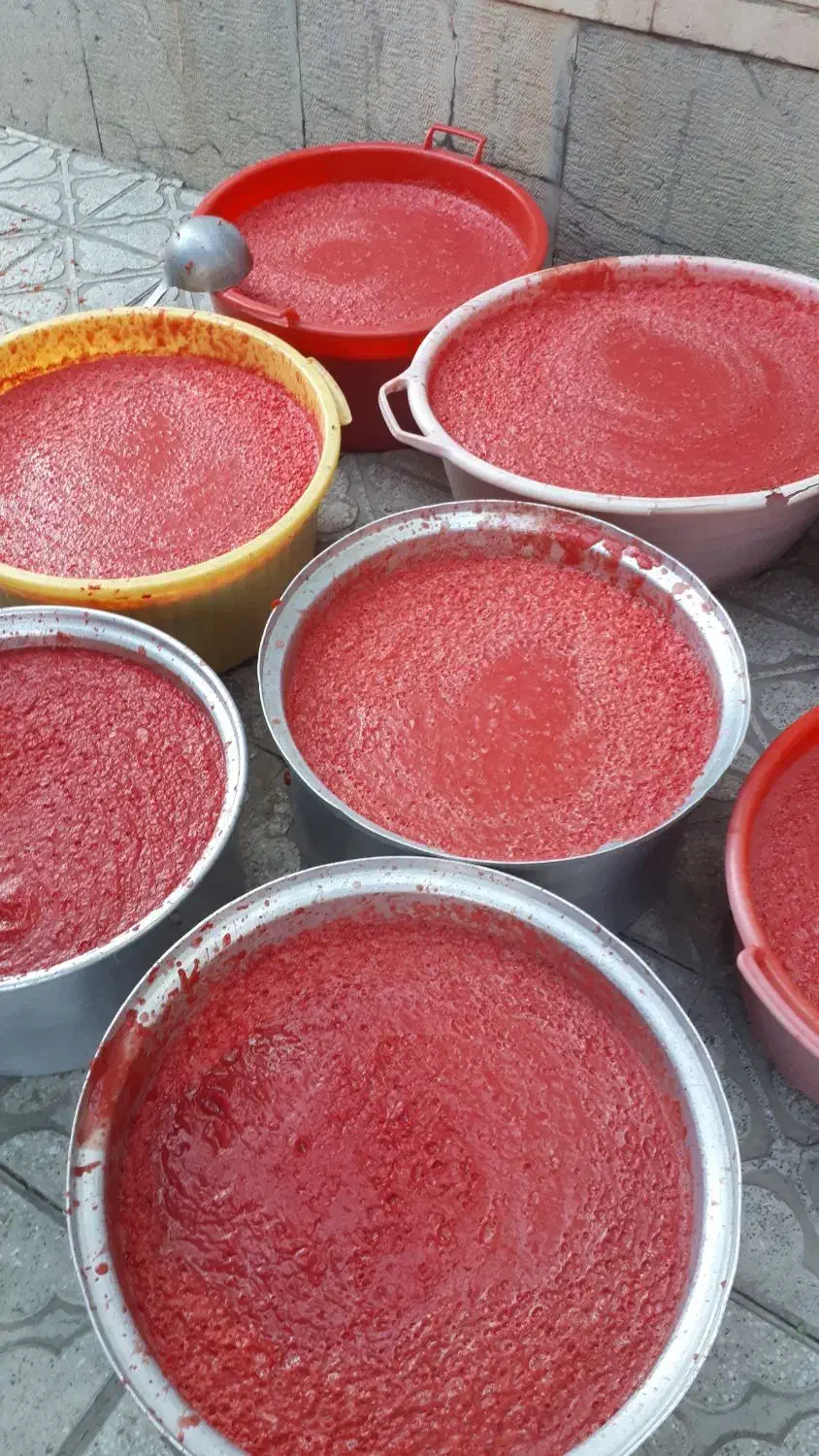 آبگیری گوجه وانگور در محل شما سیار|خدمات پیشه و مهارت|همدان, |دیوار