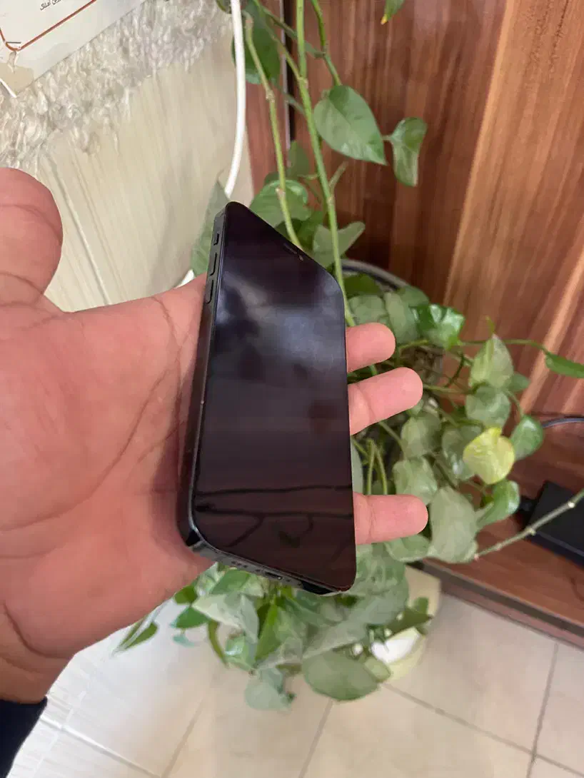 آیفون 12pro 256G|موبایل|یزد, |دیوار