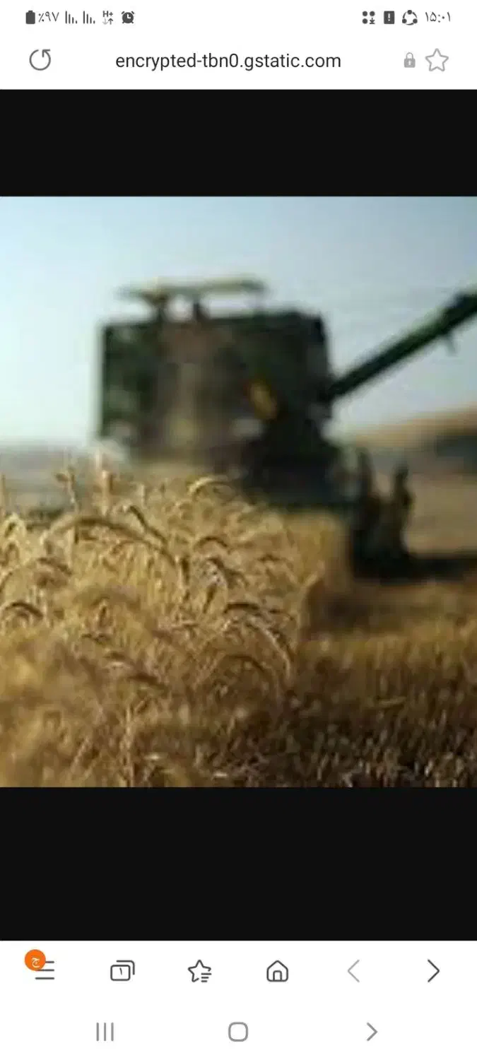 جودیم جو دیم|لوازم جانبی حیوانات|کرمانشاه, |دیوار