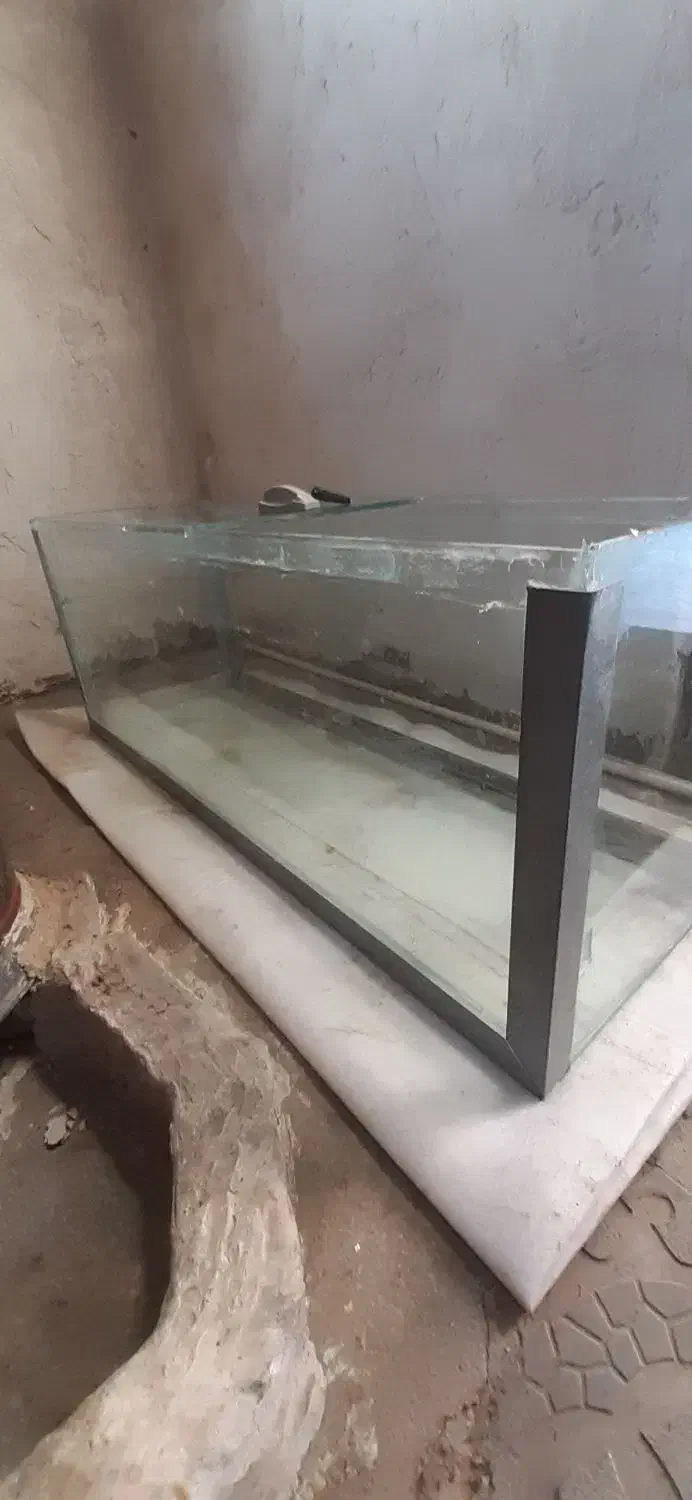 آکواریوم فروشی طول ۱مترو ۲۰سانت بلندی ۴۵سانت|ماهی|جوانرود, |دیوار