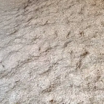 کاه گندم|لوازم جانبی حیوانات|آمل, |دیوار