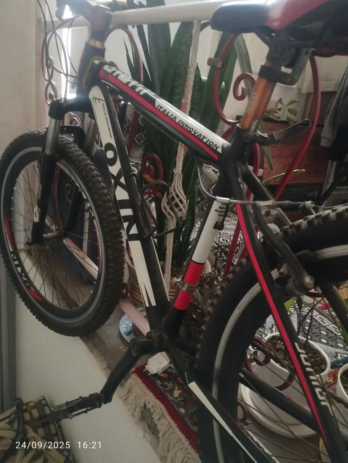 چرخ OXlN سایز26|دوچرخه، اسکیت، اسکوتر|چناران, |دیوار