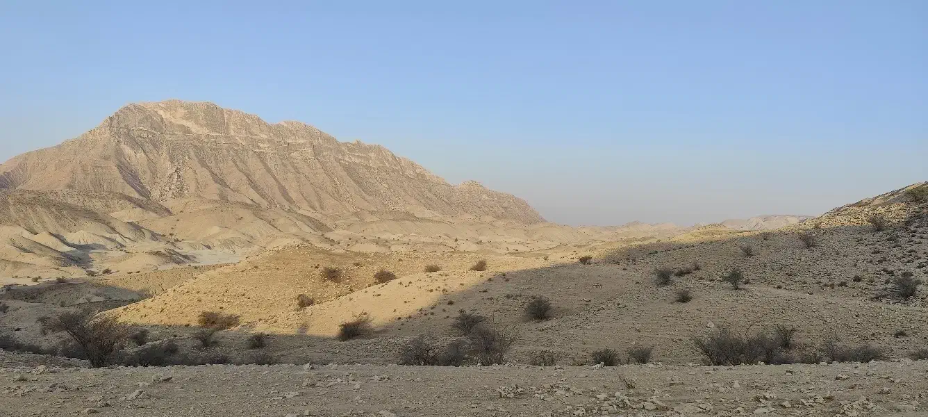 چراگاه گوسفند،اجاره قشلاق ۹ دانگ،شهرستان فراشبند|اجارهٔ دفتر صنعتی، کشاورزی، تجاری|شیراز, رکن‌آباد|دیوار
