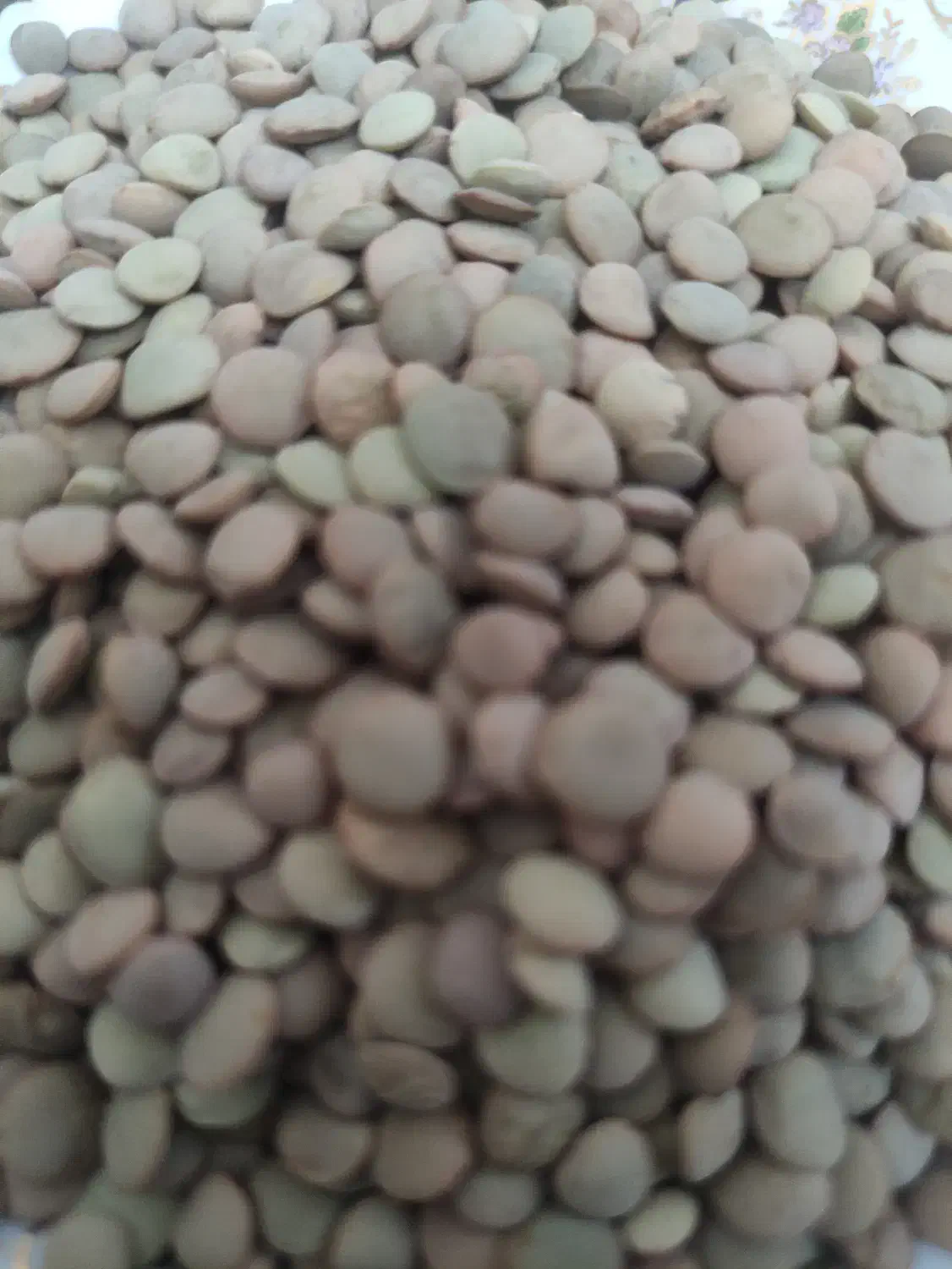 حبوبات|عمده‌فروشی|ماهدشت, |دیوار