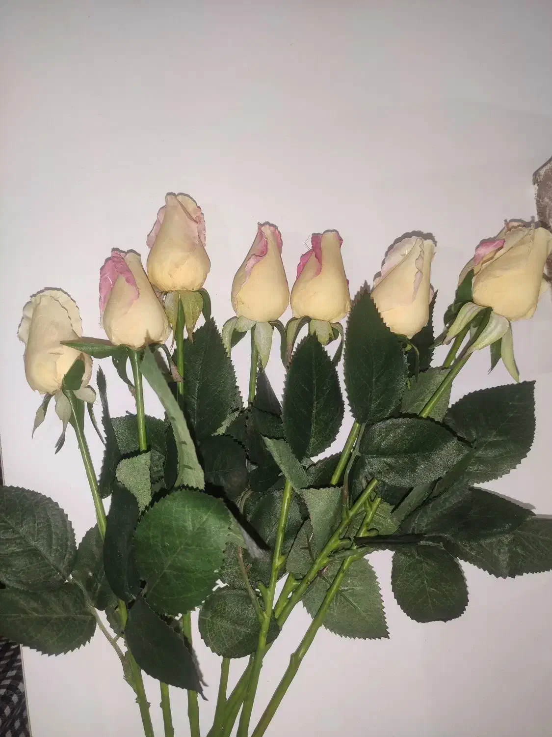 گل رز لمسی صورتی سفید|گل مصنوعی|رشت, منظریه|دیوار