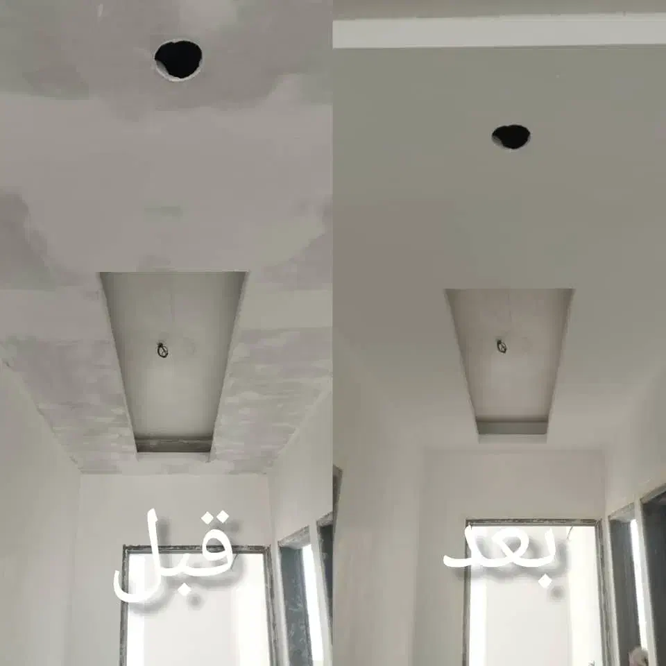 نقاشی ساختمان|خدمات پیشه و مهارت|بندر انزلی, لیچارگی حسن رود|دیوار