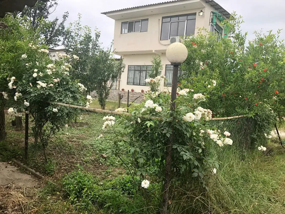 فروش واحد دامداری صنعتی ۲۳۲۱ متری با بنا|فروش دفتر صنعتی، کشاورزی، تجاری|نوکنده, |دیوار