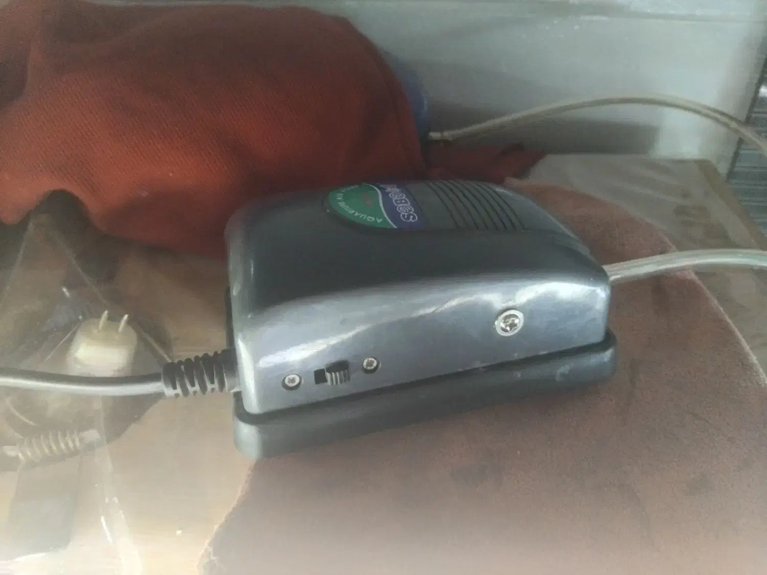 ماهی اکواریوم|ماهی|تبریز, |دیوار