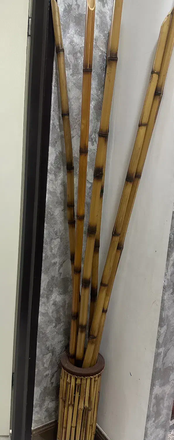 گلدان و چوب نی بامبو|صنایع دستی و سایر لوازم تزئینی|بندر ماهشهر, |دیوار