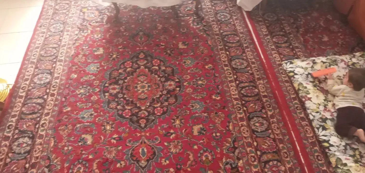 فرش دستبافت کاشان|فرش|قزوین, |دیوار