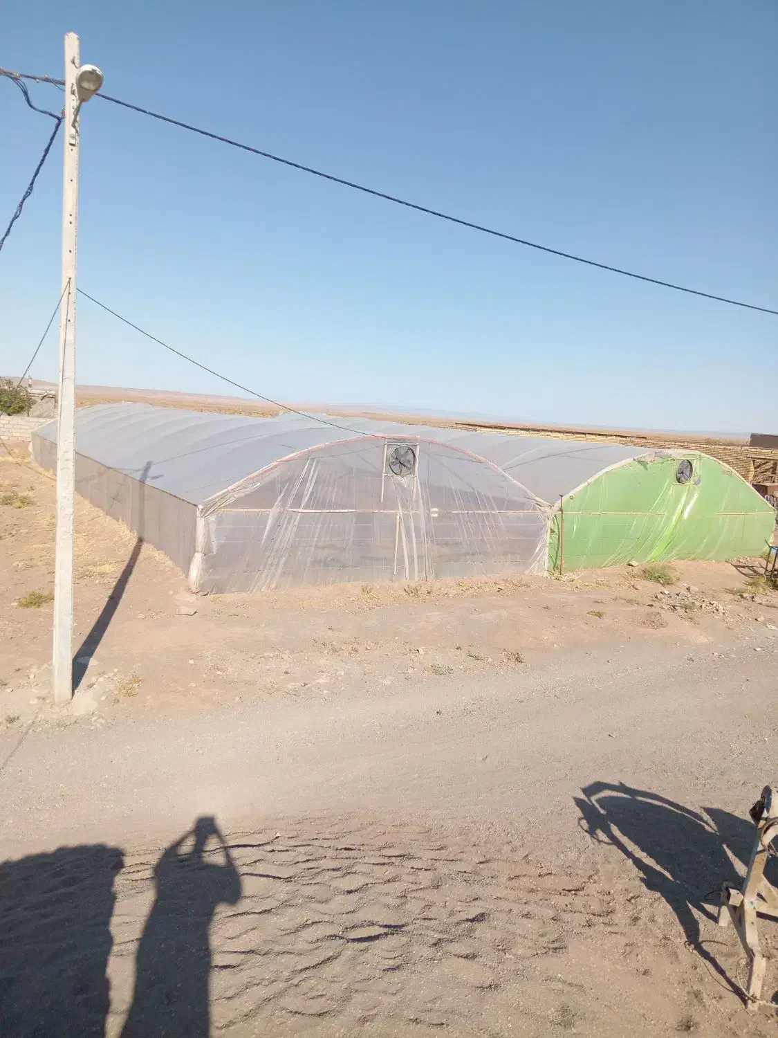 گلخانه با همه امکانات|گل و گیاه طبیعی|میان جلگه, |دیوار