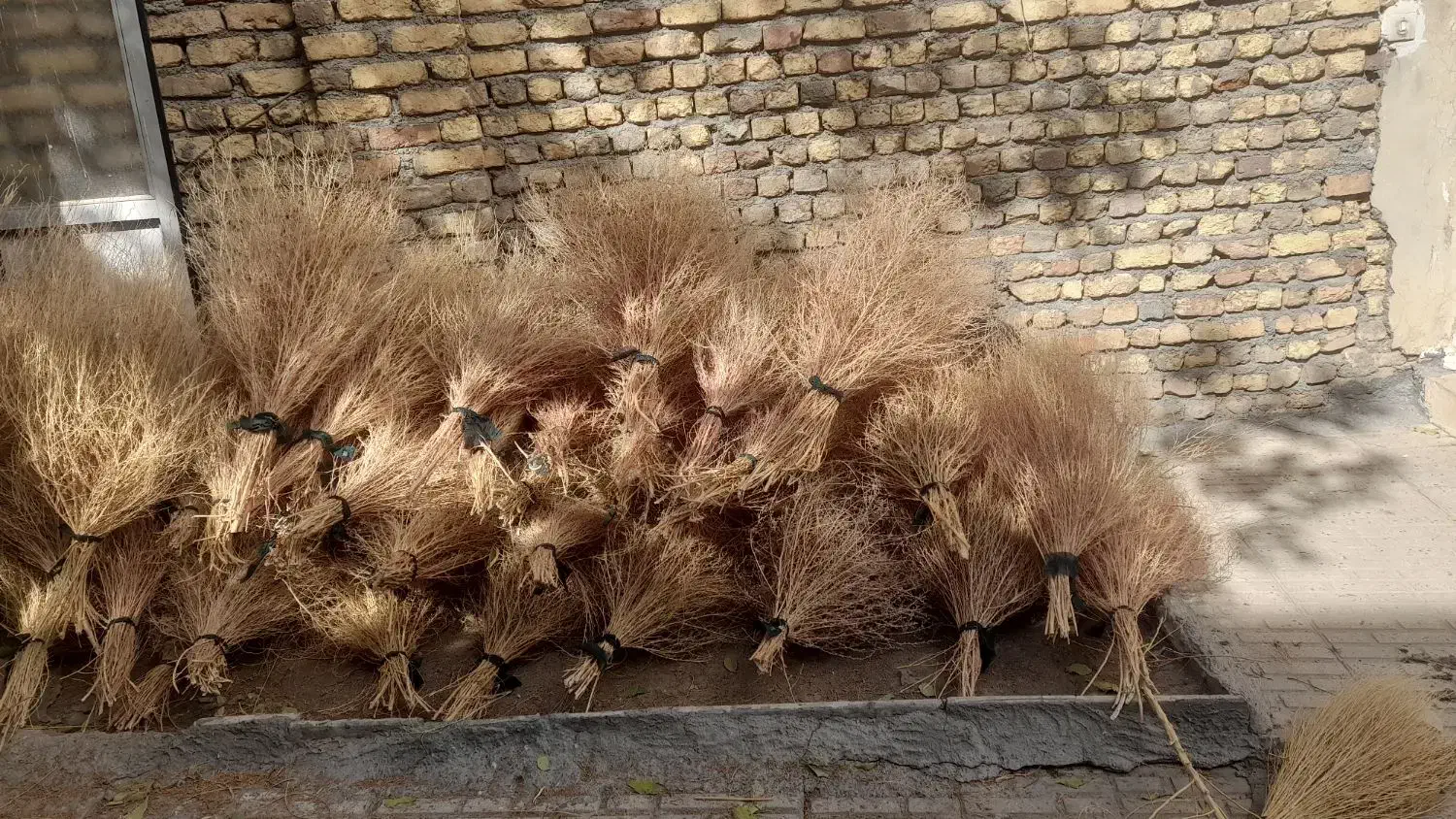 جارو(گزی باخی)|جاروبرقی، جارو شارژی، بخارشو|روانسر, |دیوار