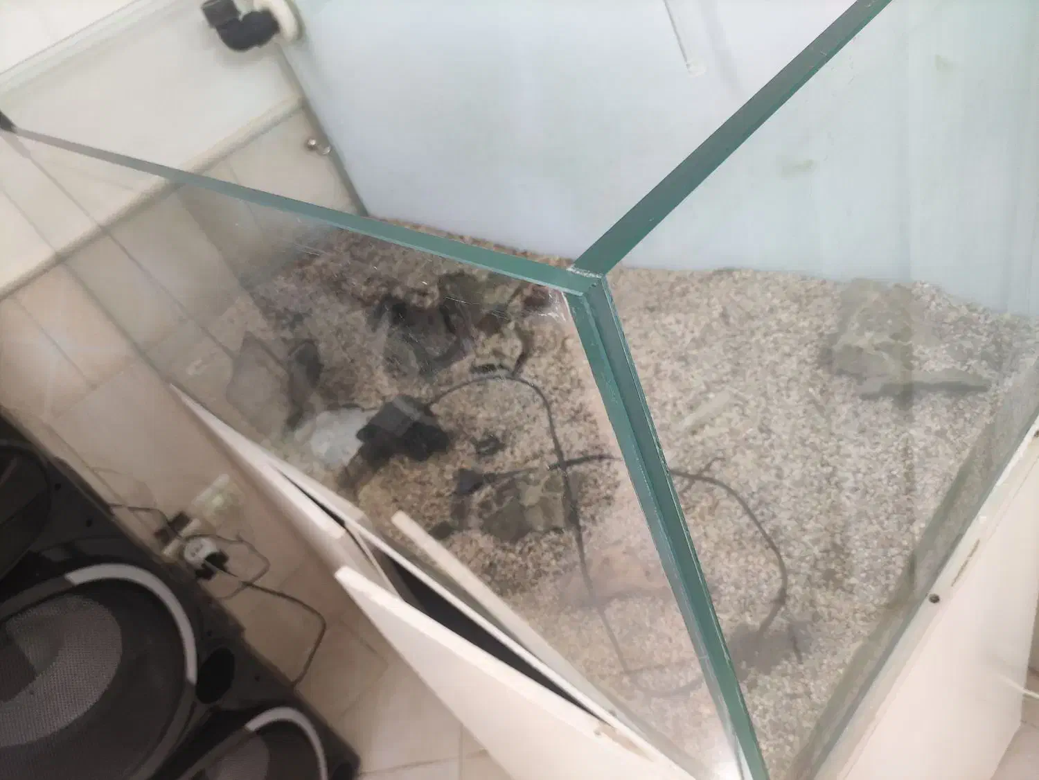 آکواریوم ریملس|ماهی|قم, باغ کرباسی|دیوار