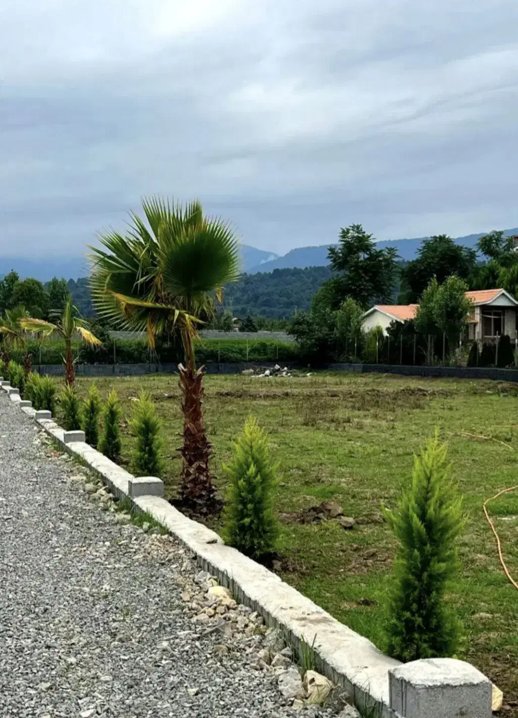 زمین سند۶دانگ/آماده ساخت/نورامیرآباد|فروش زمین و ملک کلنگی|نوشهر, |دیوار