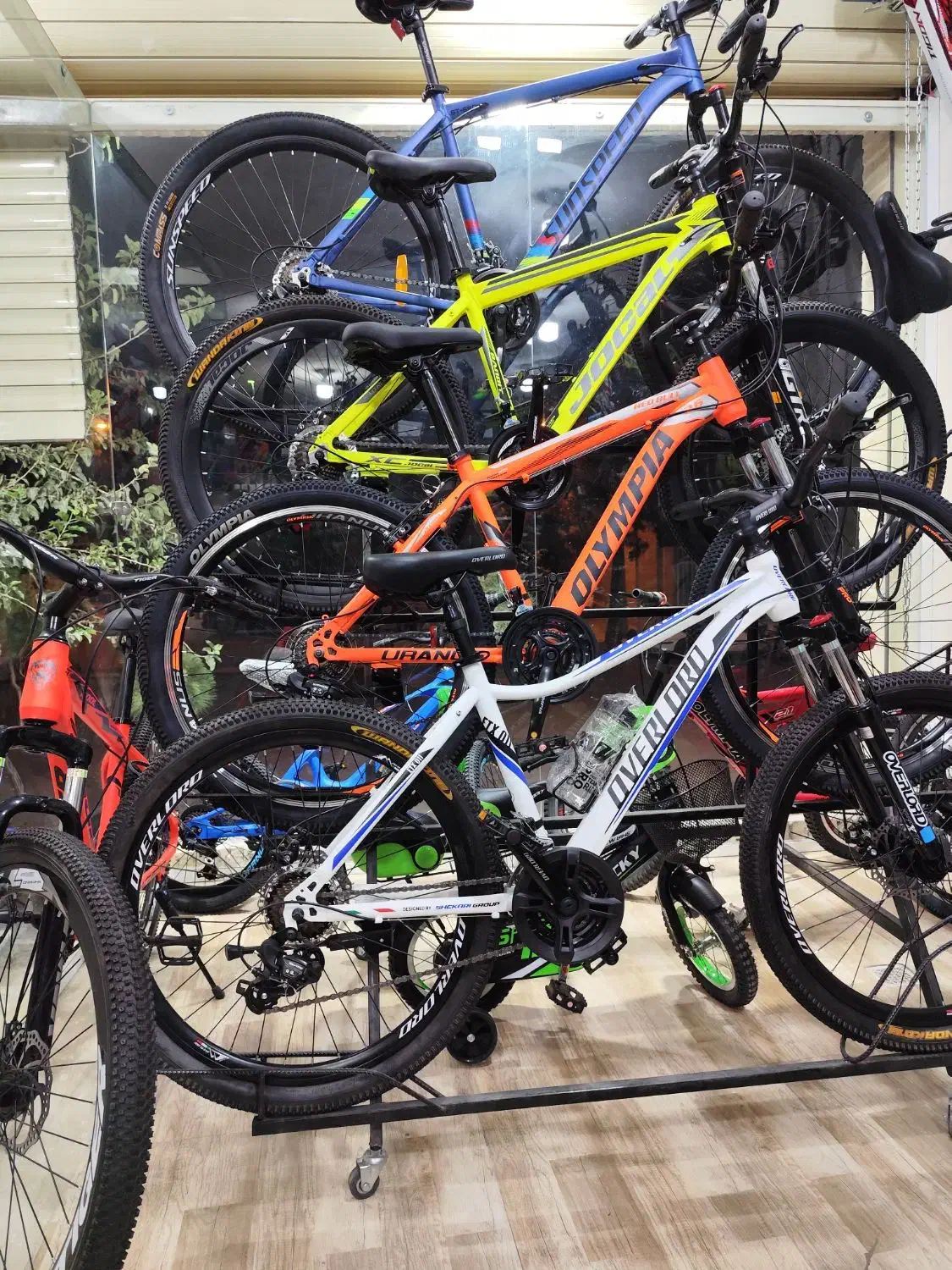 همه سایز دوچرخه تخفیفی *پخش تک و عمده*|دوچرخه، اسکیت، اسکوتر|زرند, |دیوار