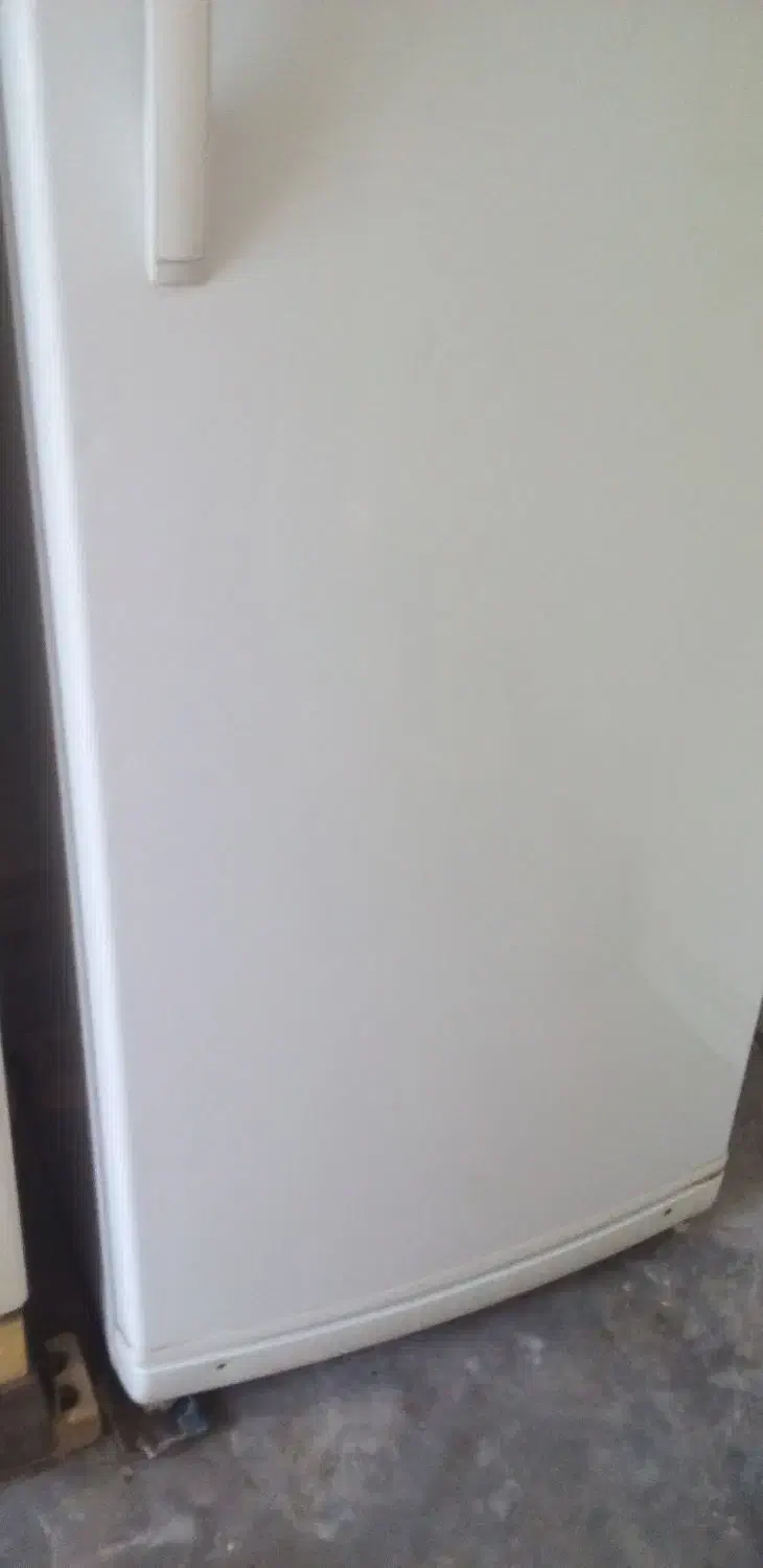 سبزی پخت  کیلوی ۱۱۰تومن ویخجال وفرزه هم۳۰تومن|خوردنی و آشامیدنی|مسجد سلیمان, |دیوار