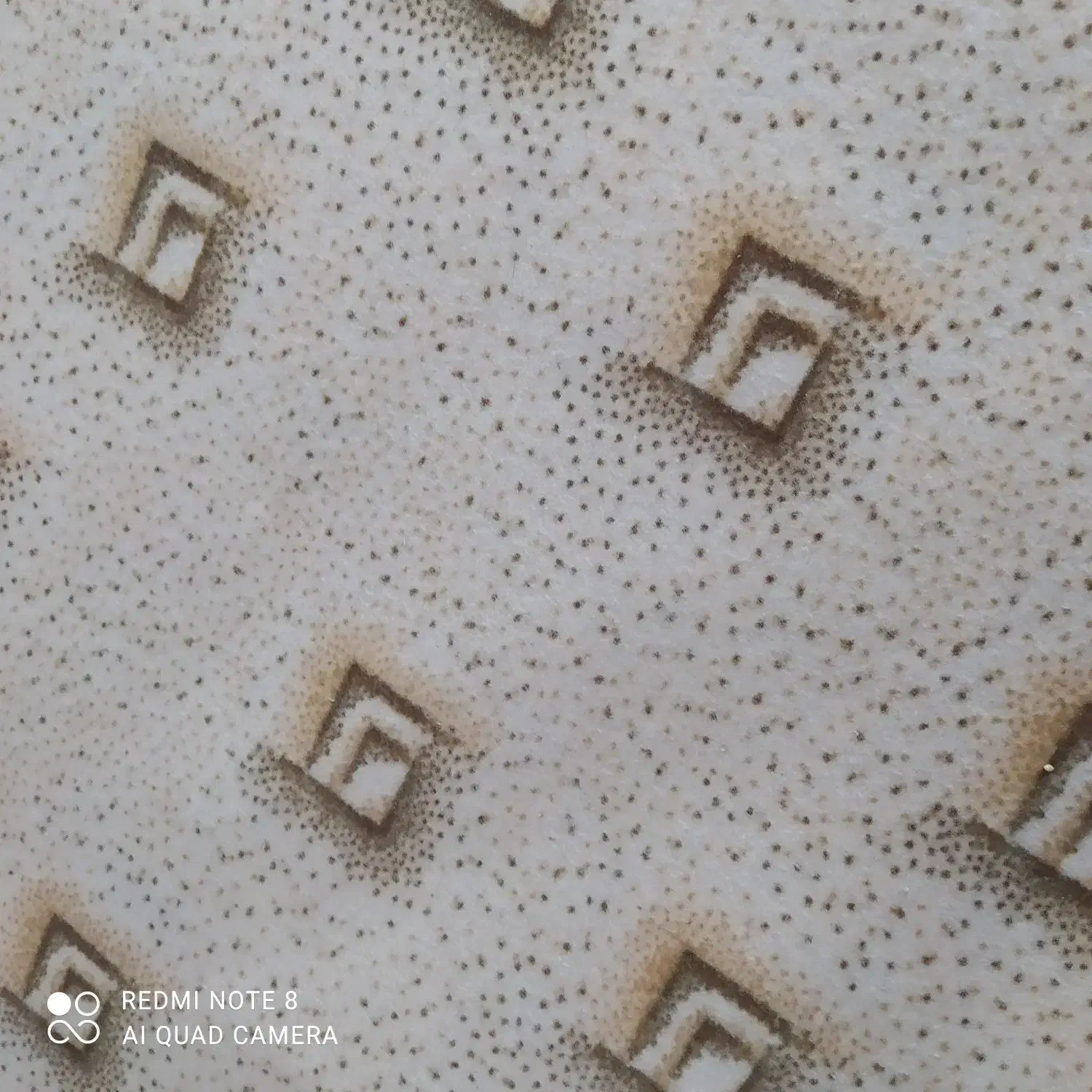 موکت|موکت|دوگنبدان, |دیوار
