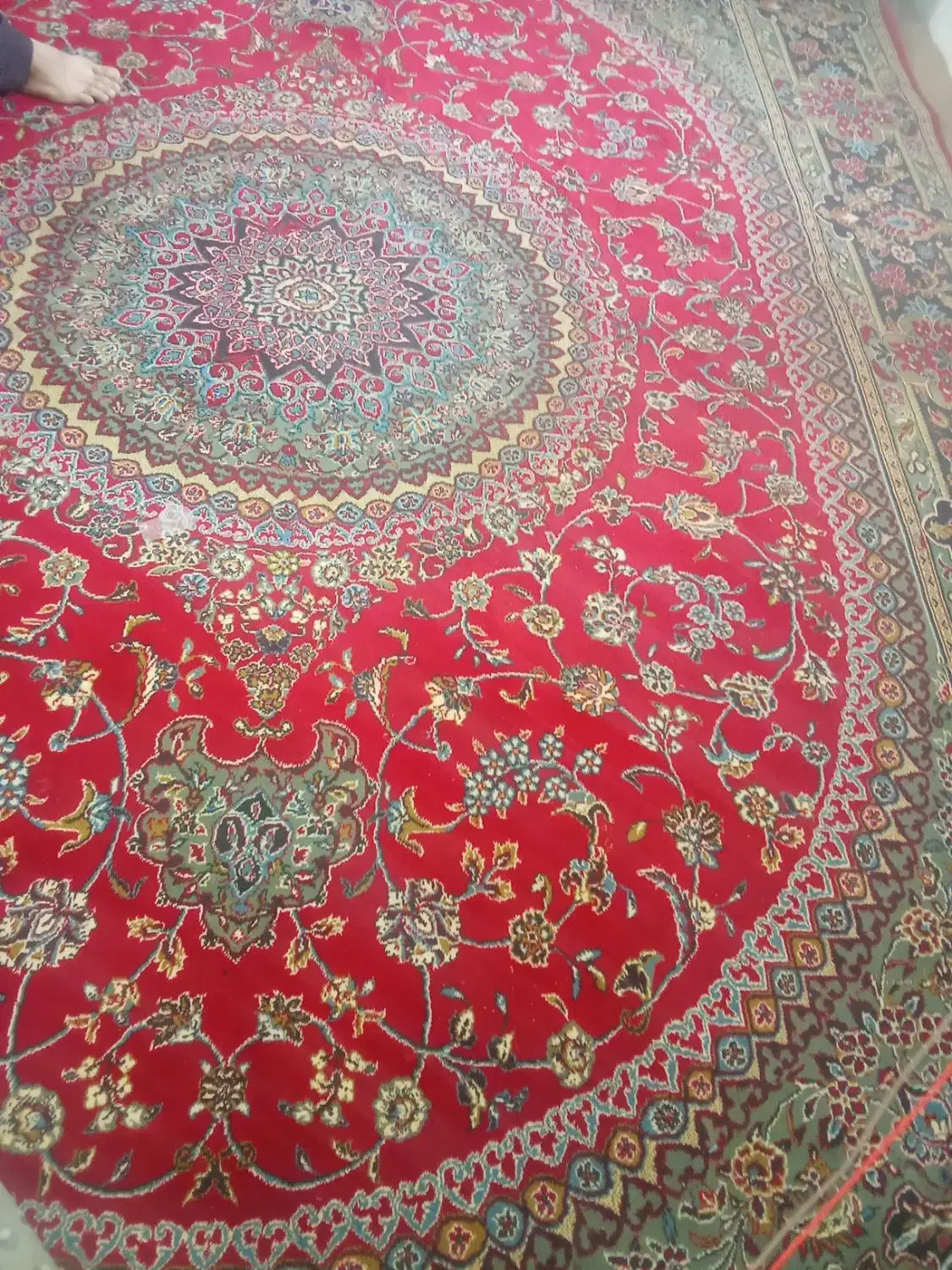 فرش|فرش|سنقر, |دیوار