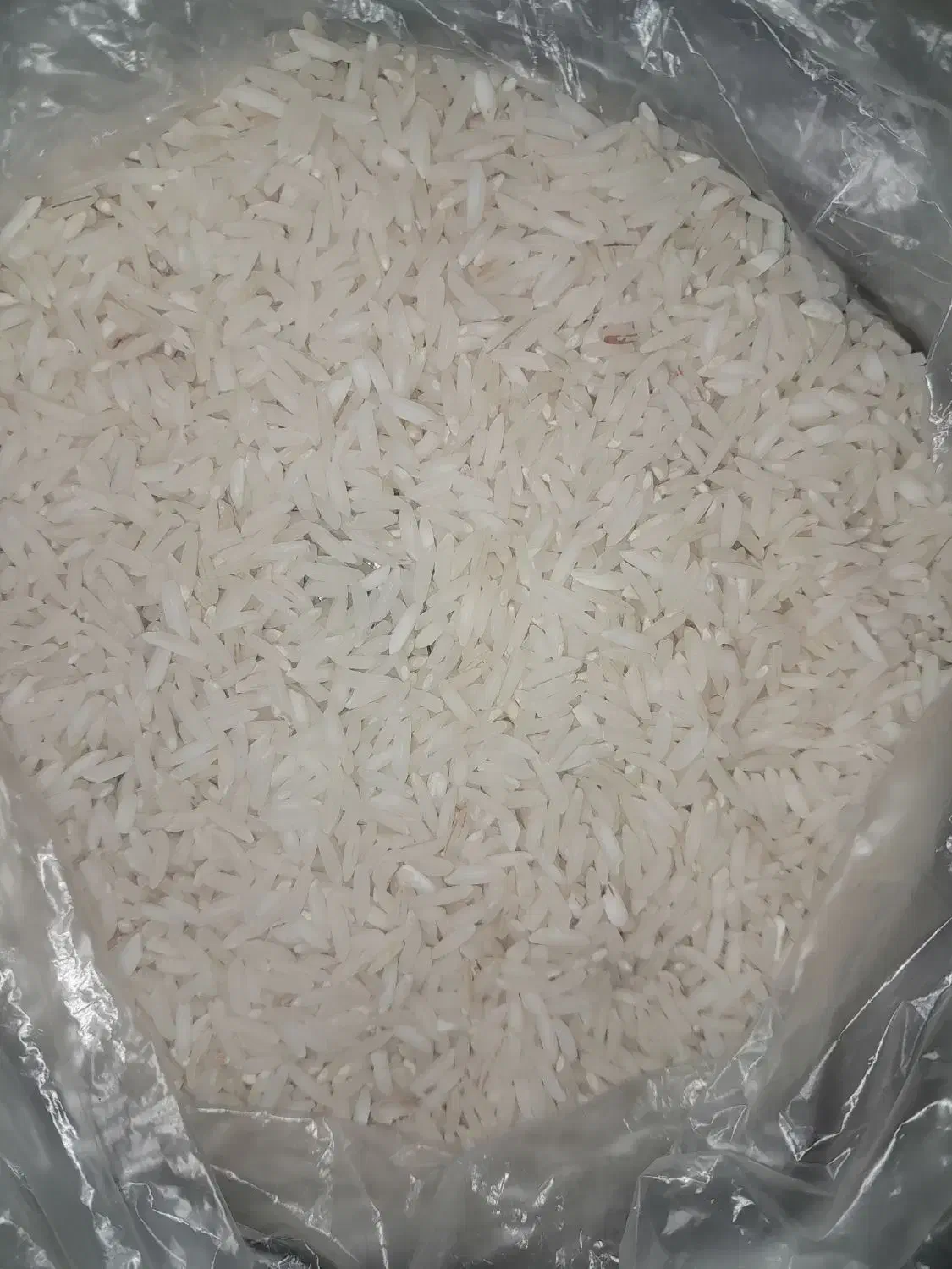 برنج هاشمی سالم|خوردنی و آشامیدنی|رشت, باهنر|دیوار