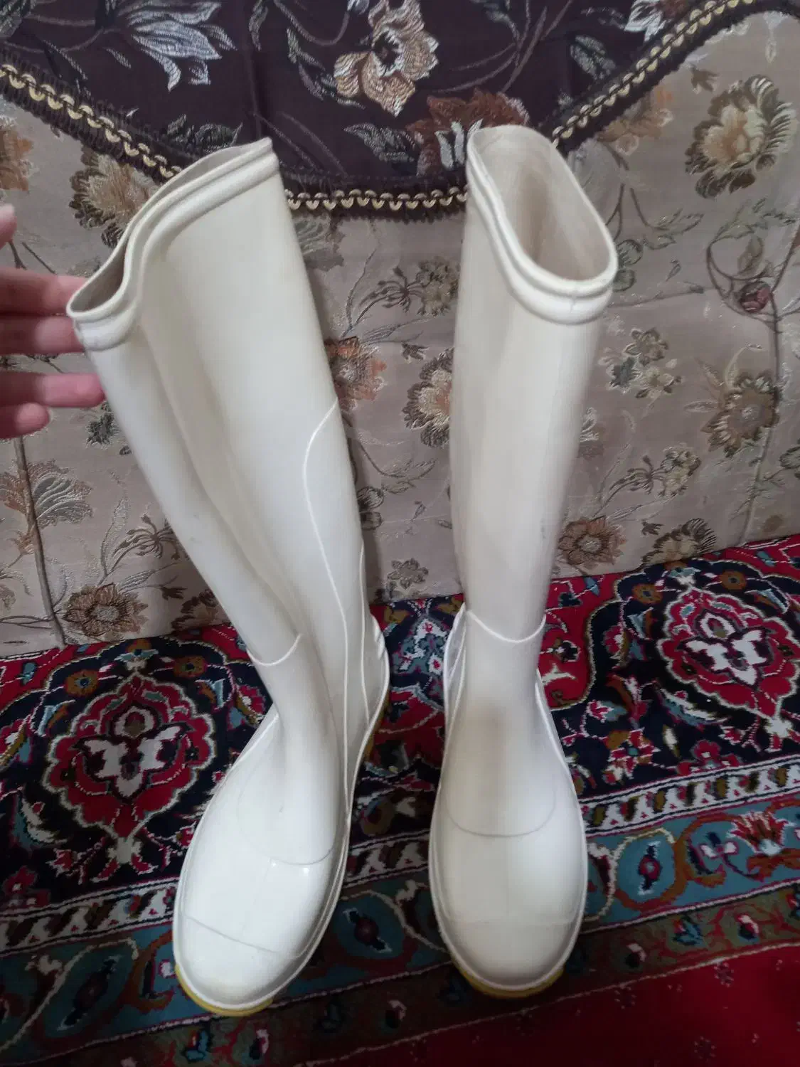 چکمه|کیف، کفش، کمربند|کازرون, |دیوار