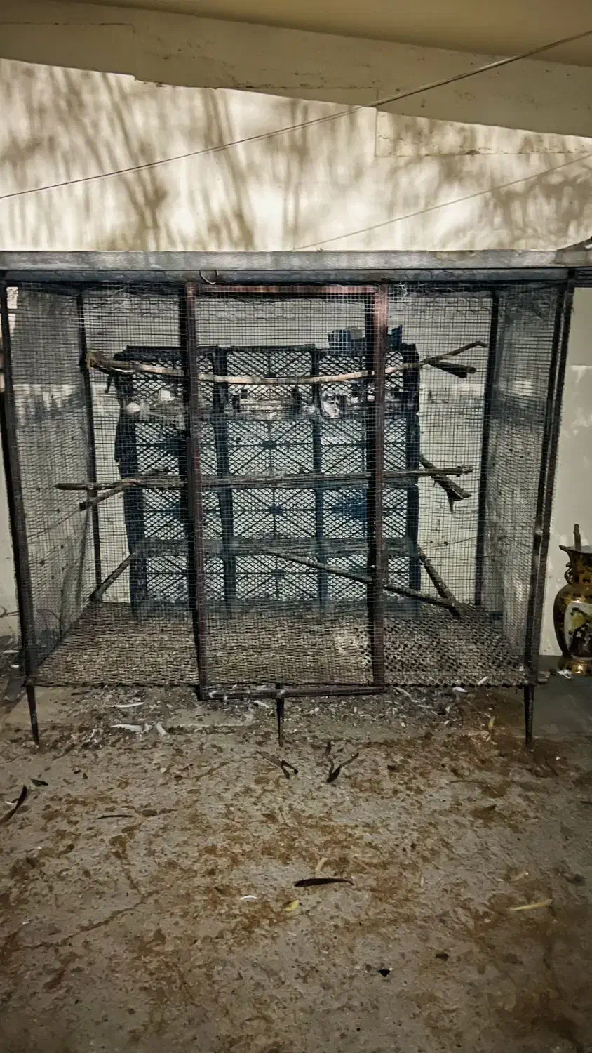 قفس کبوتر بسیار بزرگ و جادار ب فروش میرسد .|لوازم جانبی حیوانات|کنارک, |دیوار