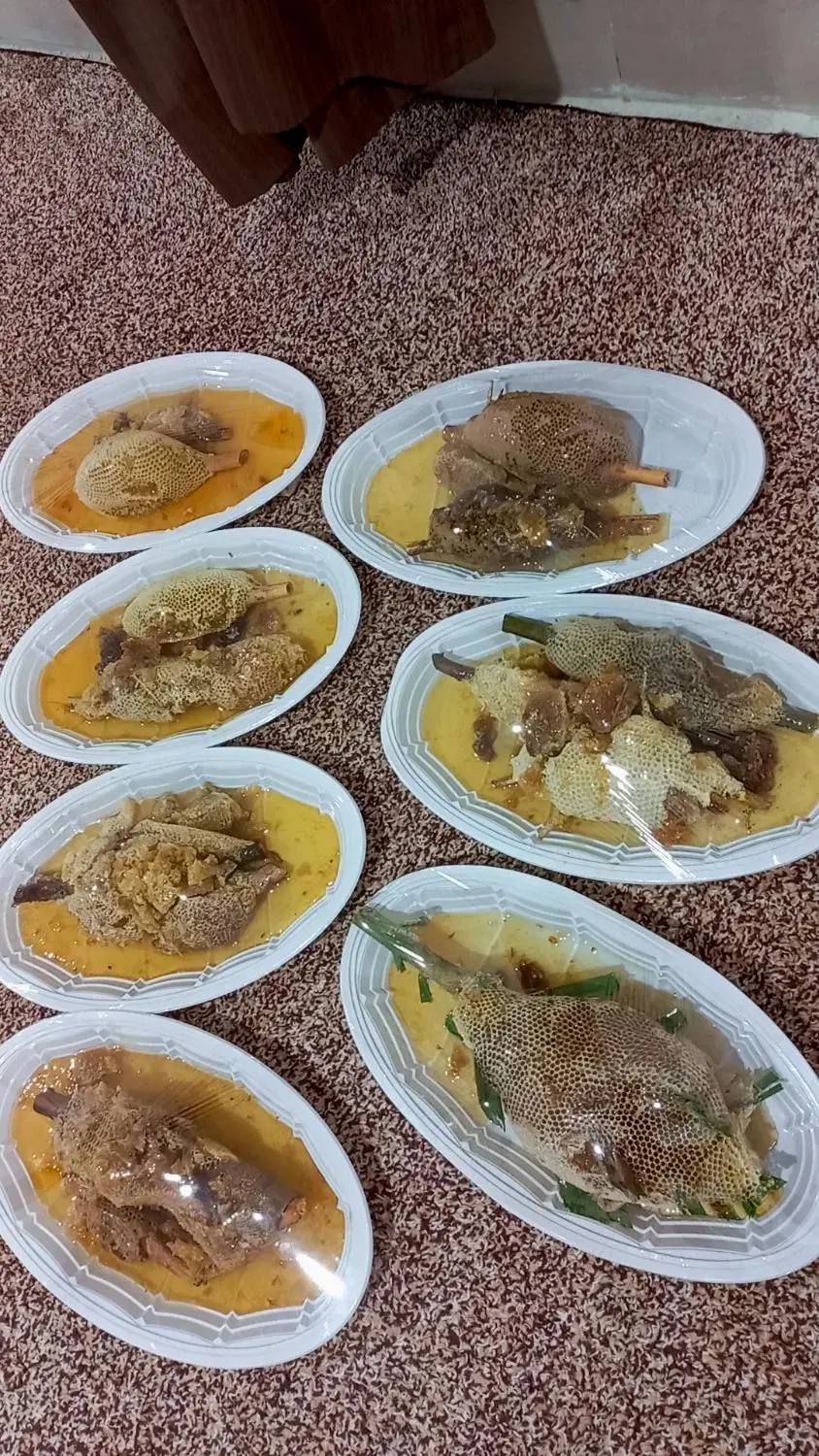 عسل|خوردنی و آشامیدنی|شوش, |دیوار
