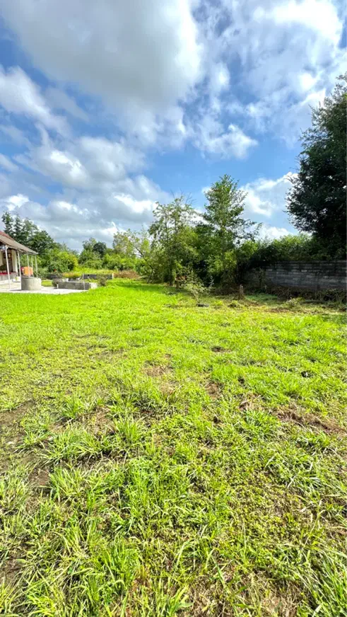 ۲۵۰متر زمین مسکونی با سند تکبرگ بر اسفالت تاپ|فروش زمین و ملک کلنگی|سیاهکل, |دیوار