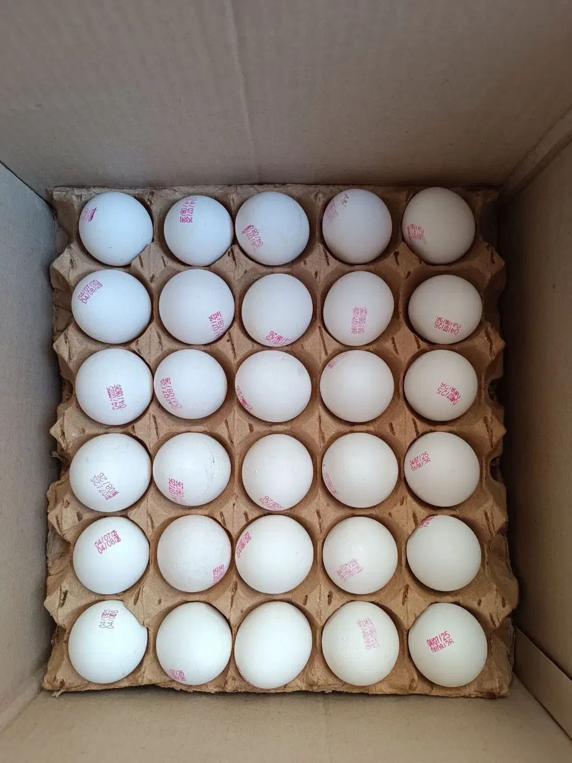 تخم مرغ روز|خوردنی و آشامیدنی|مشهد, تربیت (صدف)|دیوار