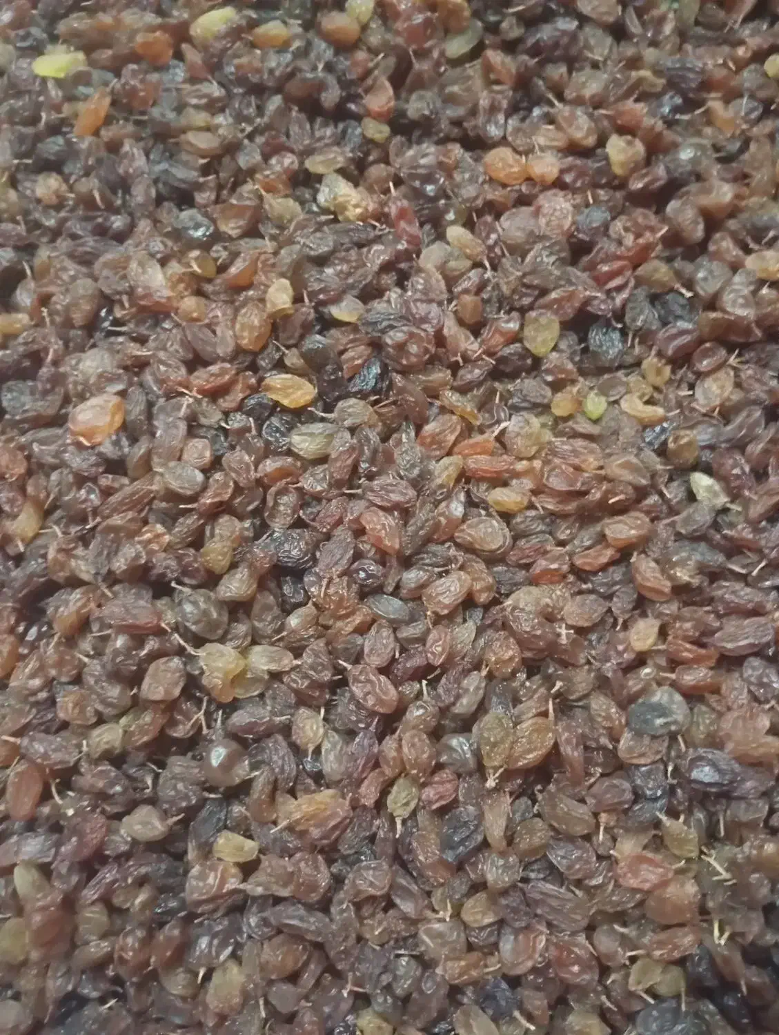 کشمش با کیفیت تمیز|خوردنی و آشامیدنی|یاسوج, |دیوار