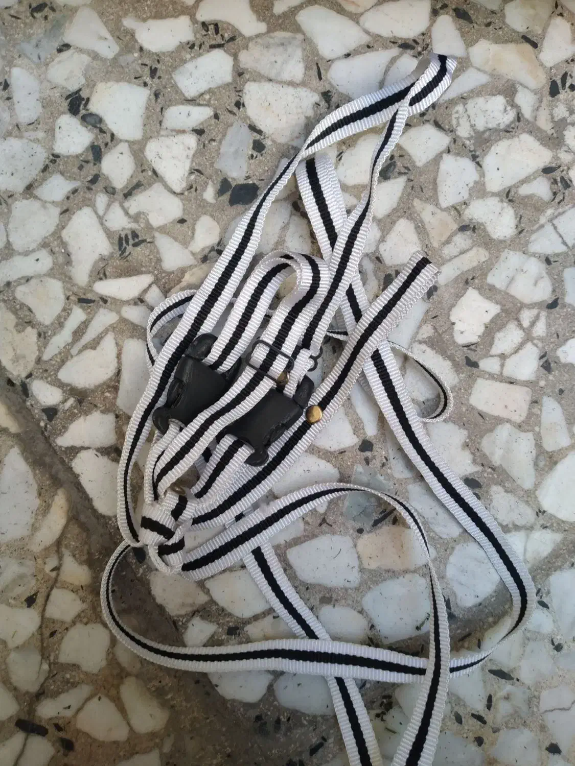 قفس خرگوش خوکچه همستر|موش و خرگوش|تهران, شمشیری|دیوار