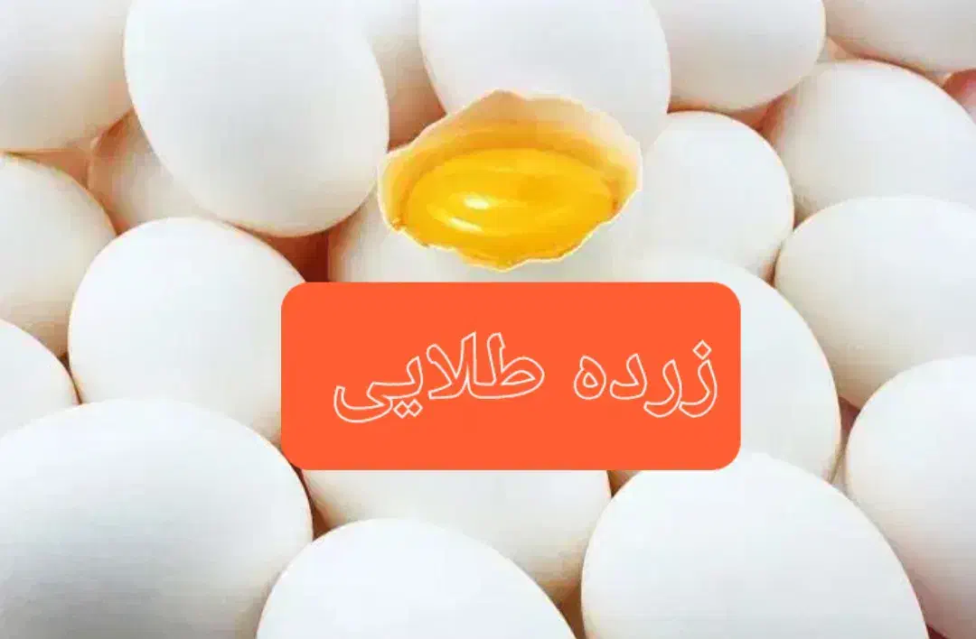 پخش تخم مرغ زرده طلایی مستقیم از مرغداری|خوردنی و آشامیدنی|رشت, کوی بیانی|دیوار