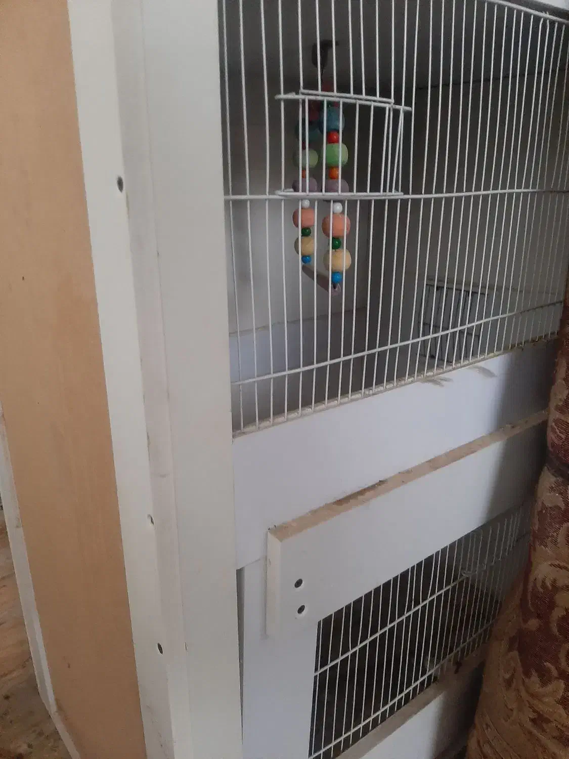 فقط پرنده یا حیوانات خانگی|لوازم جانبی حیوانات|صحنه, |دیوار