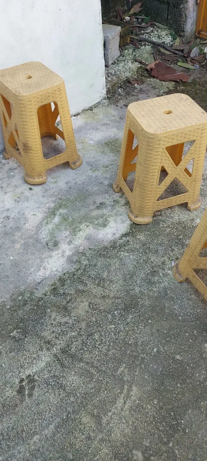 صندلی|صندلی و نیمکت|بندر انزلی, لیچارگی حسن رود|دیوار