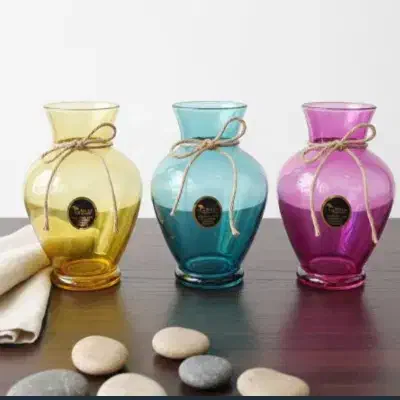 گلدان شیشه ای رنگی حراج|گل و گیاه طبیعی|بندرعباس, |دیوار