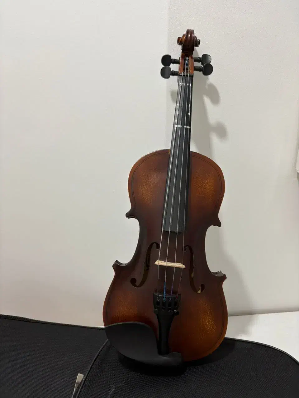 ویولن Nemex 1/4 در حد نو|ویولن|رشت, کوی بیانی|دیوار
