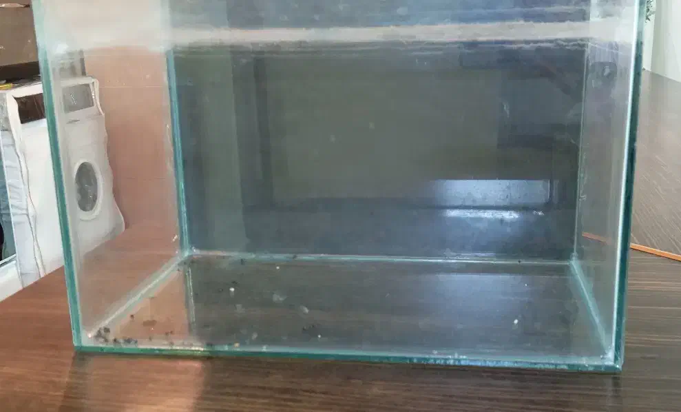 اکواریوم با ماهی|ماهی|تهران, شهرک شریفی|دیوار