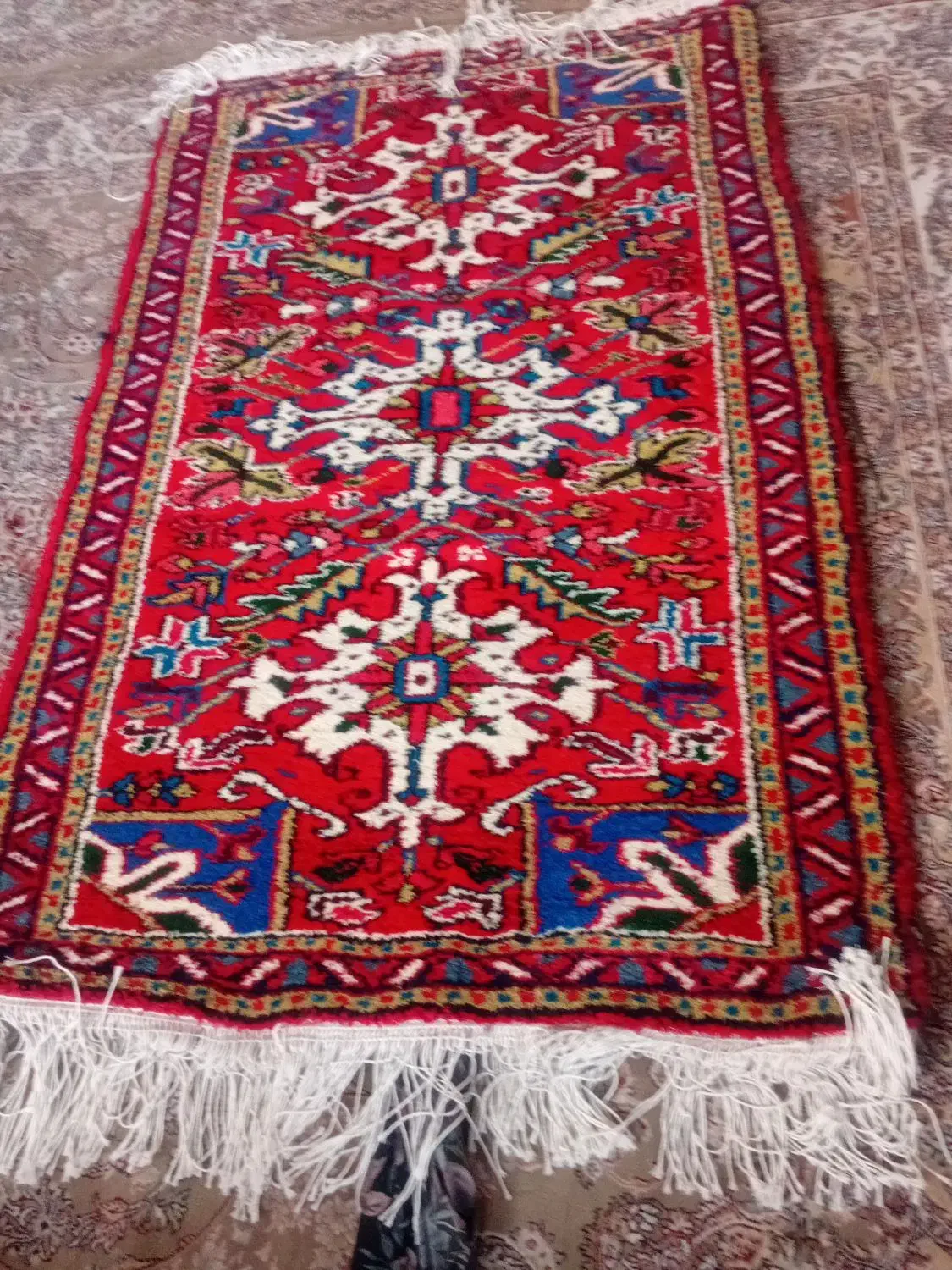 فرش زرنیم اطراف|فرش|تبریز, |دیوار