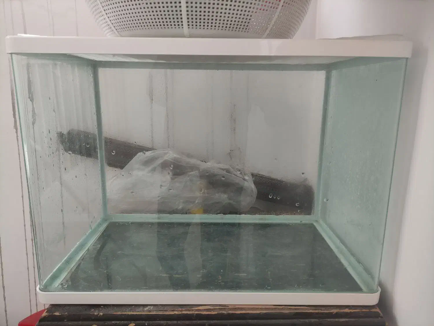 آکواریوم شیشه خم شرکتی قناری به همراه پمپ|ماهی|مشهد, کارمندان دوم|دیوار