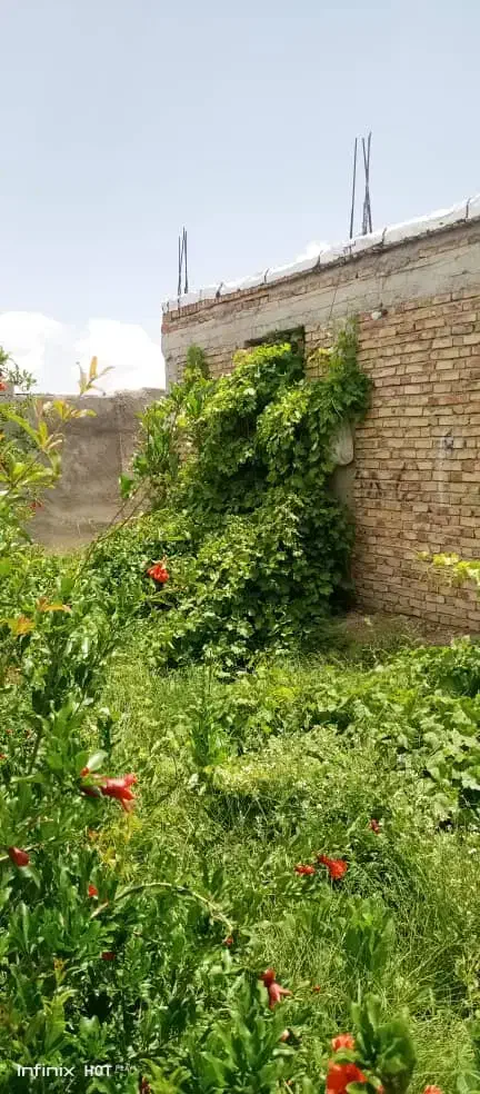 ویلایی هوشک خ شهید بهنام|فروش خانه و ویلا|سراوان, |دیوار