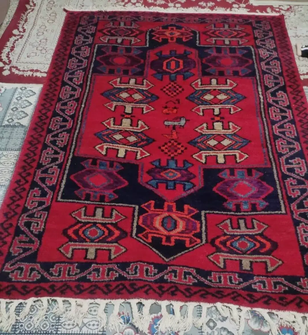 قالی دست بافت محلی|فرش|شوشتر, |دیوار