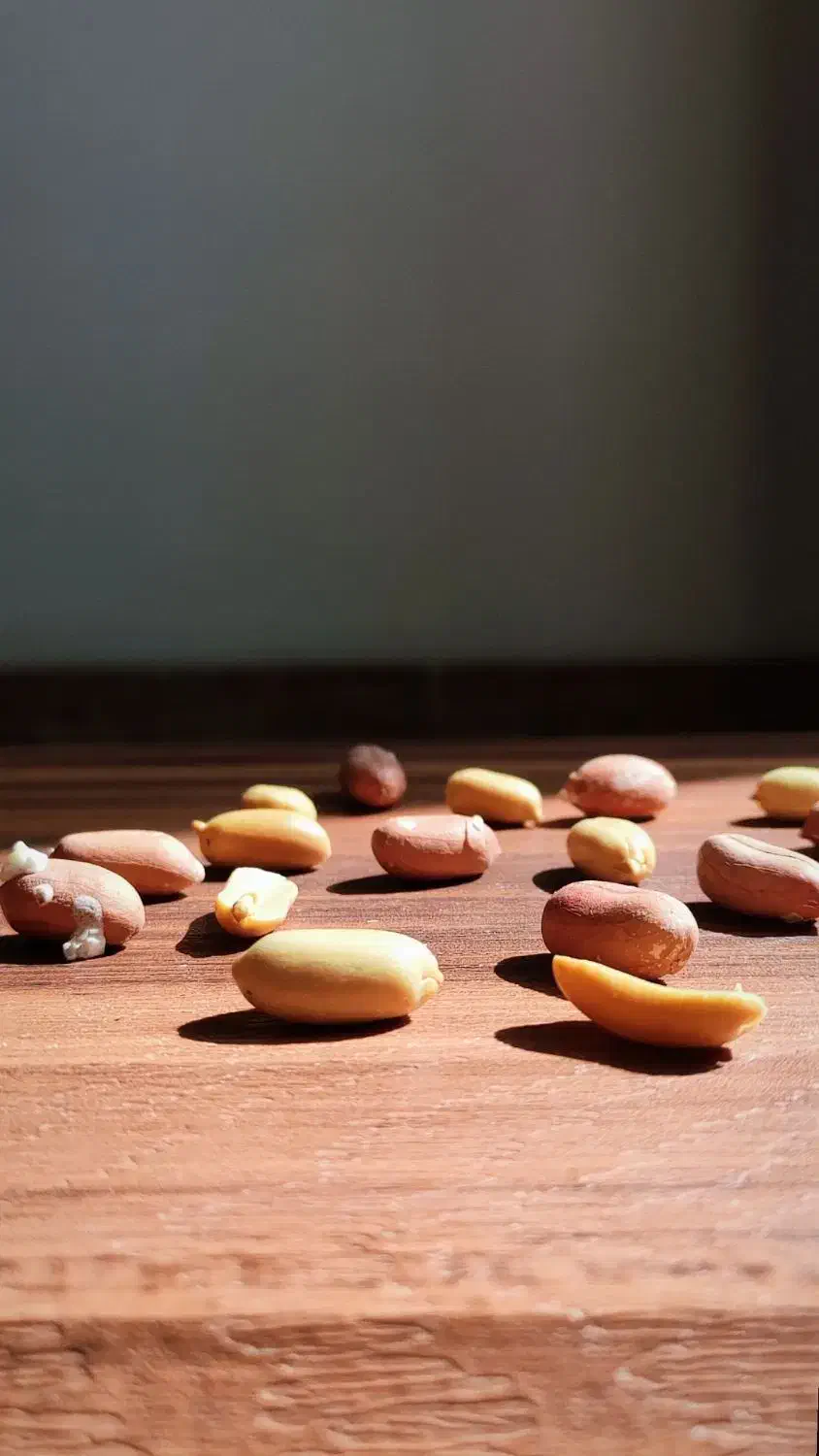 فروش بادام زمینی (و سایر خشکبار) باکیفیت بی‌نظیر|خوردنی و آشامیدنی|شیراز, میرزاکوچک خان|دیوار