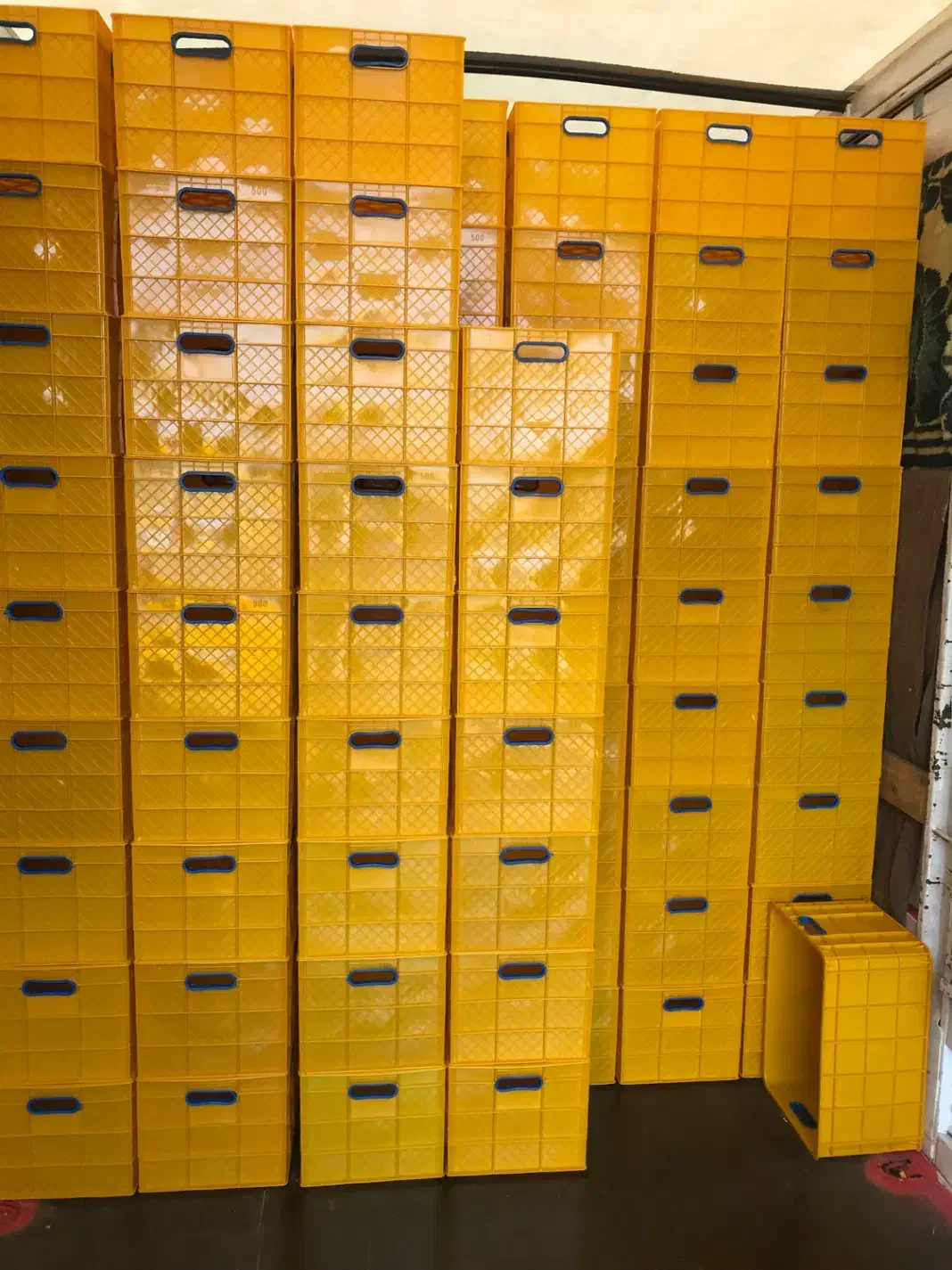 سبد پلاستیکی|ظروف نگهدارنده، پلاستیکی، یکبارمصرف|تبریز, |دیوار