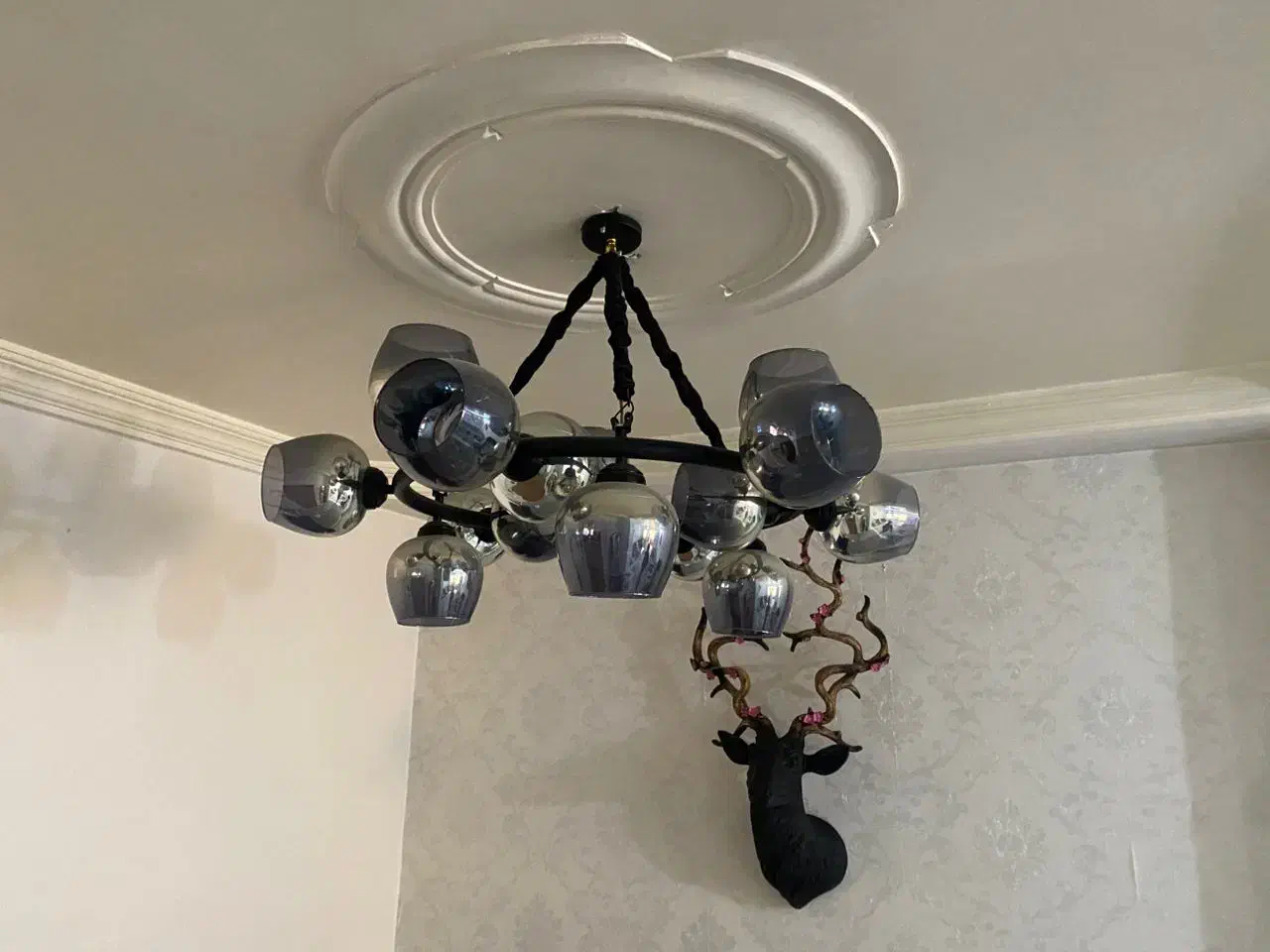 لوستر|لوستر و چراغ آویز|تهران, بهداشت|دیوار