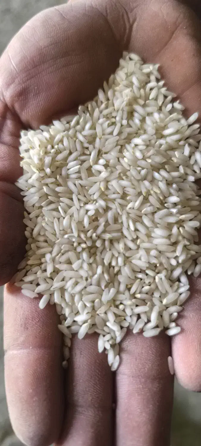 برنج عنبربو|خوردنی و آشامیدنی|شوشتر, |دیوار