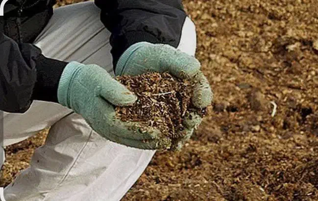 کود کبوتر|لوازم جانبی حیوانات|اهواز, زرگان|دیوار